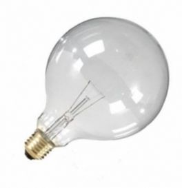 Helaas voelen bespotten Globelamp helder 25W E27 125MM